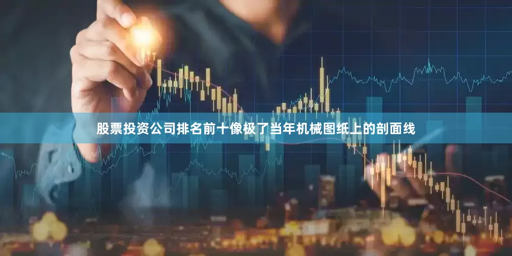 股票投资公司排名前十像极了当年机械图纸上的剖面线