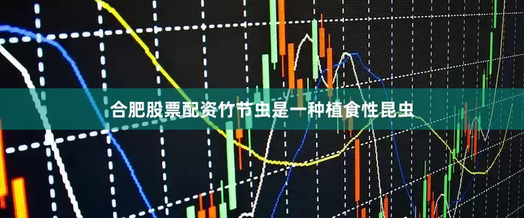 合肥股票配资竹节虫是一种植食性昆虫