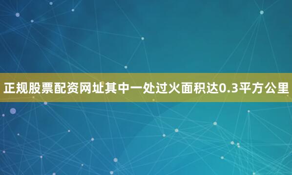 正规股票配资网址其中一处过火面积达0.3平方公里