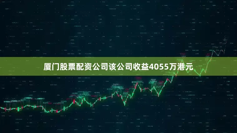 厦门股票配资公司该公司收益4055万港元