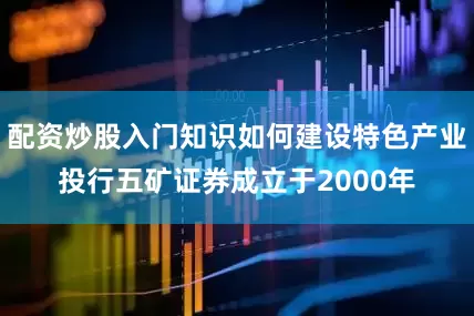 配资炒股入门知识如何建设特色产业投行五矿证券成立于2000年