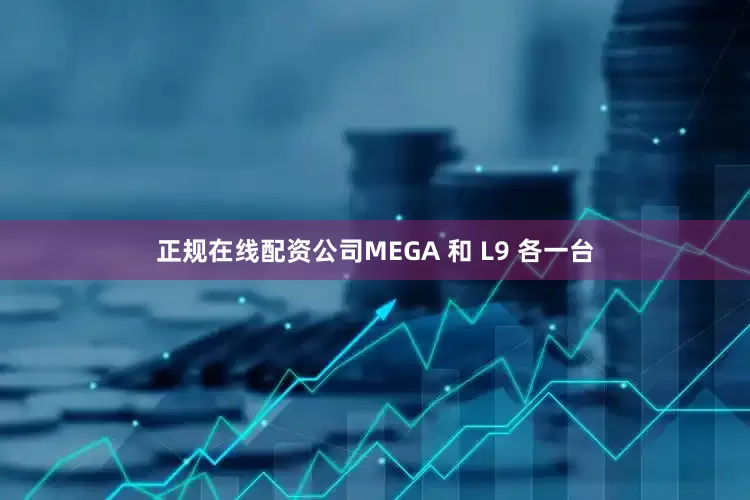 正规在线配资公司MEGA 和 L9 各一台